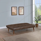 Jenson Upholstered Tufted Convertible Sofa Bed Dark Coffee by Coaster at Eve Furniture
