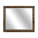 Jerrick Burnished Brown Mirror (Mirror Only) by Homelegance at Eve Furniture