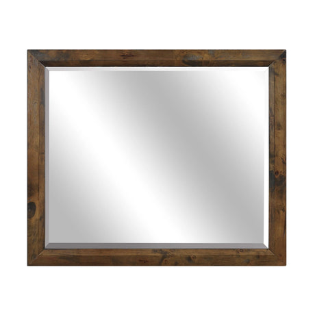 Jerrick Burnished Brown Mirror (Mirror Only) by Homelegance at Eve Furniture