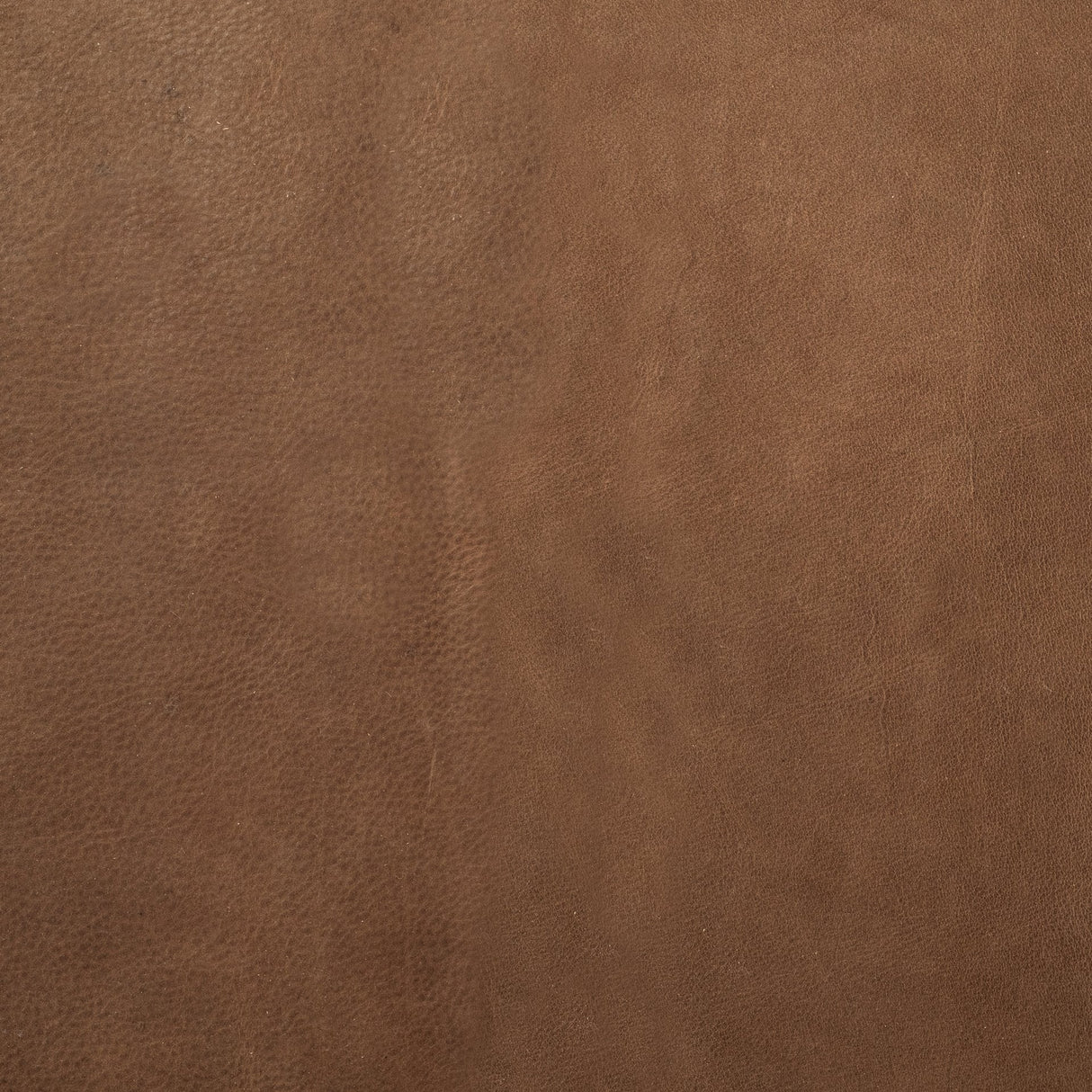 Jessie 55L x 16W Brown Leather Seat W/Black Metal Base Accent Bench by Mercana at Eve Furniture