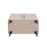 Jodie Accent Cabinet in Whitewashed Oak by Manhattan Comfort at Eve Furniture