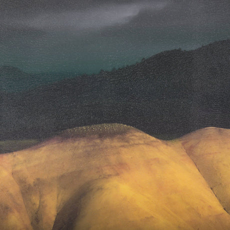 John Day II by Chad Mackay a Hand Embellished Textured Framed Photo Art Print by Mercana at Eve Furniture