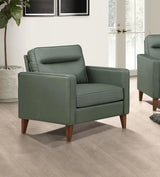 Jonah Green Upholstered Track Arm Accent Club Chair