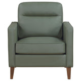 Jonah Green Upholstered Track Arm Accent Club Chair