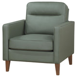 Jonah Green Upholstered Track Arm Accent Club Chair