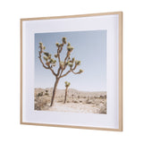 Joshua Tree 1 by THE Studio a Framed Photo Art Print Matted under Glass by Mercana at Eve Furniture