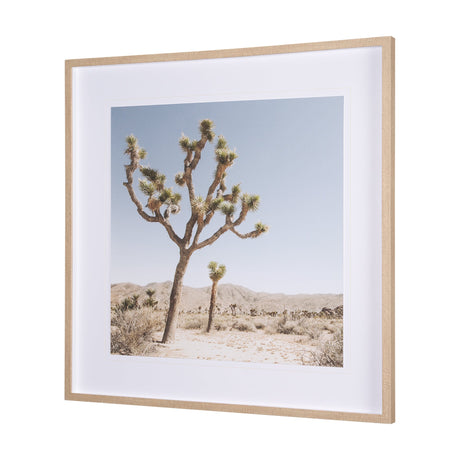 Joshua Tree 1 by THE Studio a Framed Photo Art Print Matted under Glass by Mercana at Eve Furniture