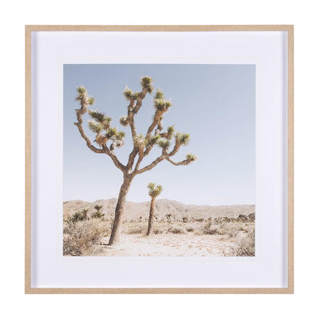 Joshua Tree 1 by THE Studio a Framed Photo Art Print Matted under Glass by Mercana at Eve Furniture