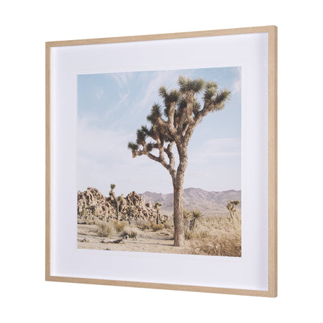 Joshua Tree 3 by THE Studio a Framed Photo Art Print Matted under Glass by Mercana at Eve Furniture