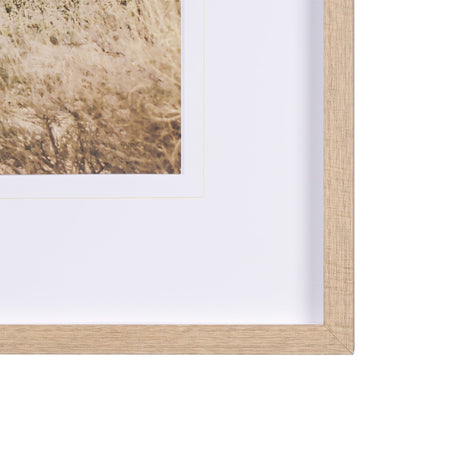 Joshua Tree 3 by THE Studio a Framed Photo Art Print Matted under Glass by Mercana at Eve Furniture