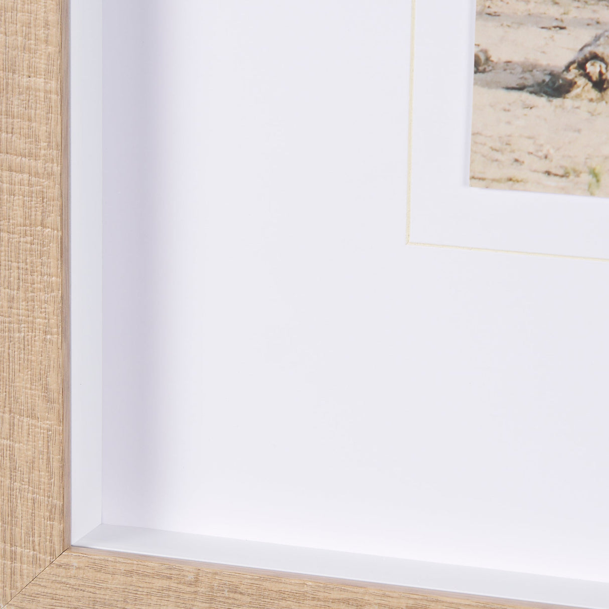 Joshua Tree 3 by THE Studio a Framed Photo Art Print Matted under Glass by Mercana at Eve Furniture