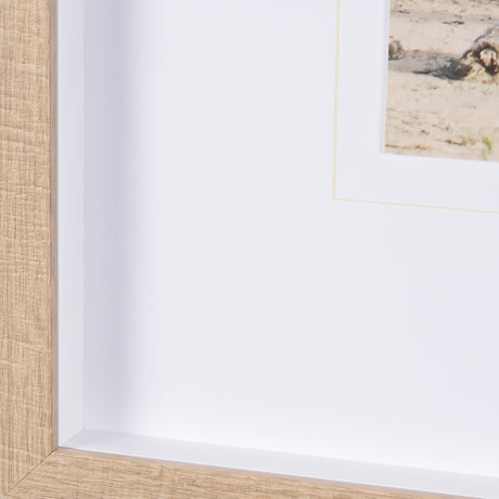 Joshua Tree 3 by THE Studio a Framed Photo Art Print Matted under Glass by Mercana at Eve Furniture