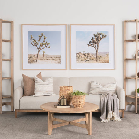 Joshua Tree 3 by THE Studio a Framed Photo Art Print Matted under Glass by Mercana at Eve Furniture