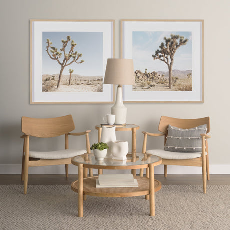 Joshua Tree 3 by THE Studio a Framed Photo Art Print Matted under Glass by Mercana at Eve Furniture