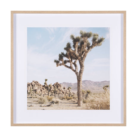 Joshua Tree 3 by THE Studio a Framed Photo Art Print Matted under Glass by Mercana at Eve Furniture