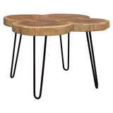 Joss Natural Square Coffee Table by Diamond Sofa at Eve Furniture