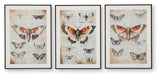 Jossletts Orange/Black/Ivory Wall Art (Set of 3) by ASHLEY FURNITURE at Eve Furniture