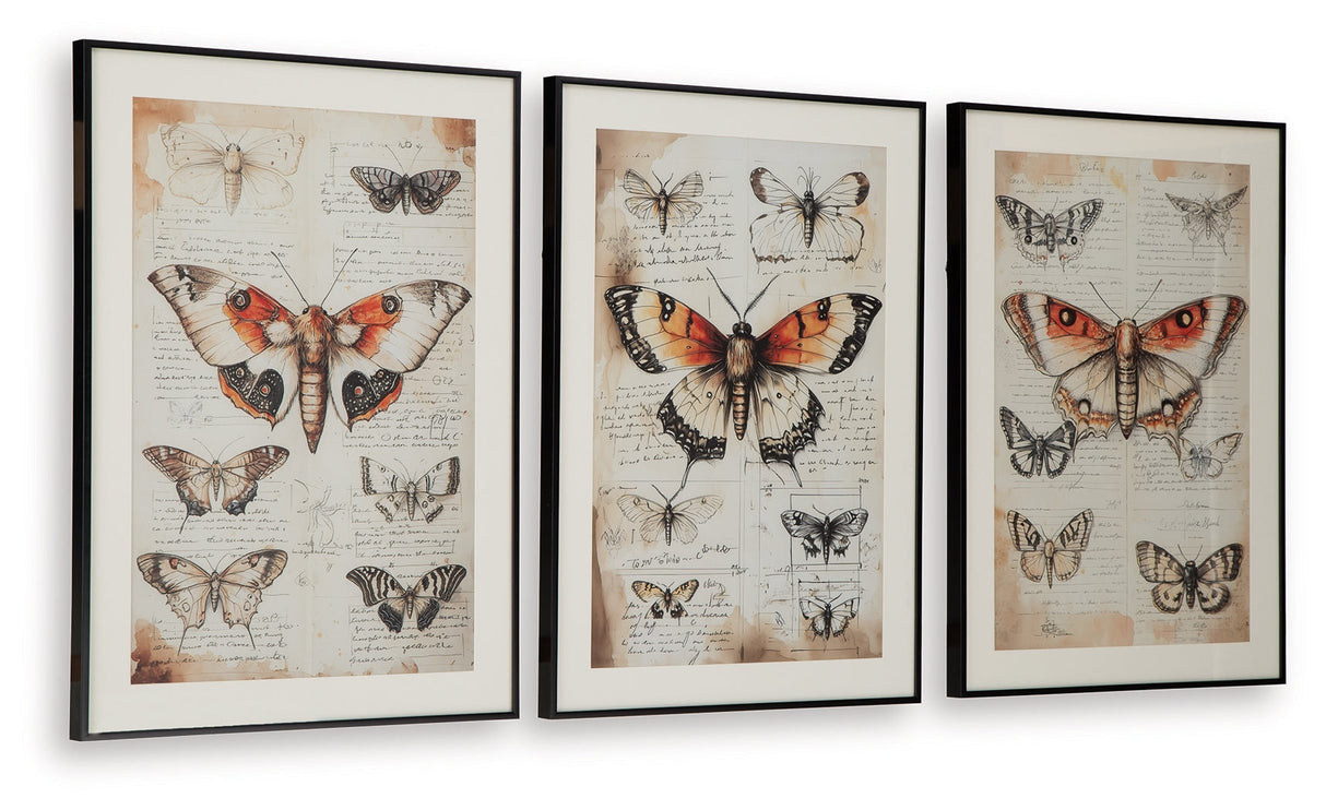 Jossletts Orange/Black/Ivory Wall Art (Set of 3) by ASHLEY FURNITURE at Eve Furniture