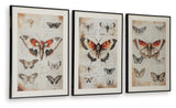 Jossletts Orange/Black/Ivory Wall Art (Set of 3) by ASHLEY FURNITURE at Eve Furniture