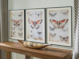 Jossletts Orange/Black/Ivory Wall Art (Set of 3) by ASHLEY FURNITURE at Eve Furniture
