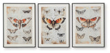 Jossletts Orange/Black/Ivory Wall Art (Set of 3) by ASHLEY FURNITURE at Eve Furniture