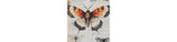 Jossletts Orange/Black/Ivory Wall Art (Set of 3) by ASHLEY FURNITURE at Eve Furniture