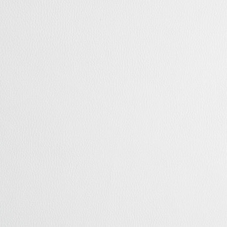 Juniper White/Chrome Armless Dining Chairs, Set of 2 by Coaster at Eve Furniture