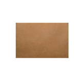 Juno Tan Leather Power Recliner Chair by Moe's Home at Eve Furniture
