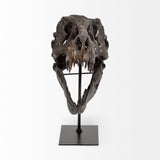 Jurassic 6L x 10W Brown Resin Tyrannosaurus Skull Replica by Mercana at Eve Furniture