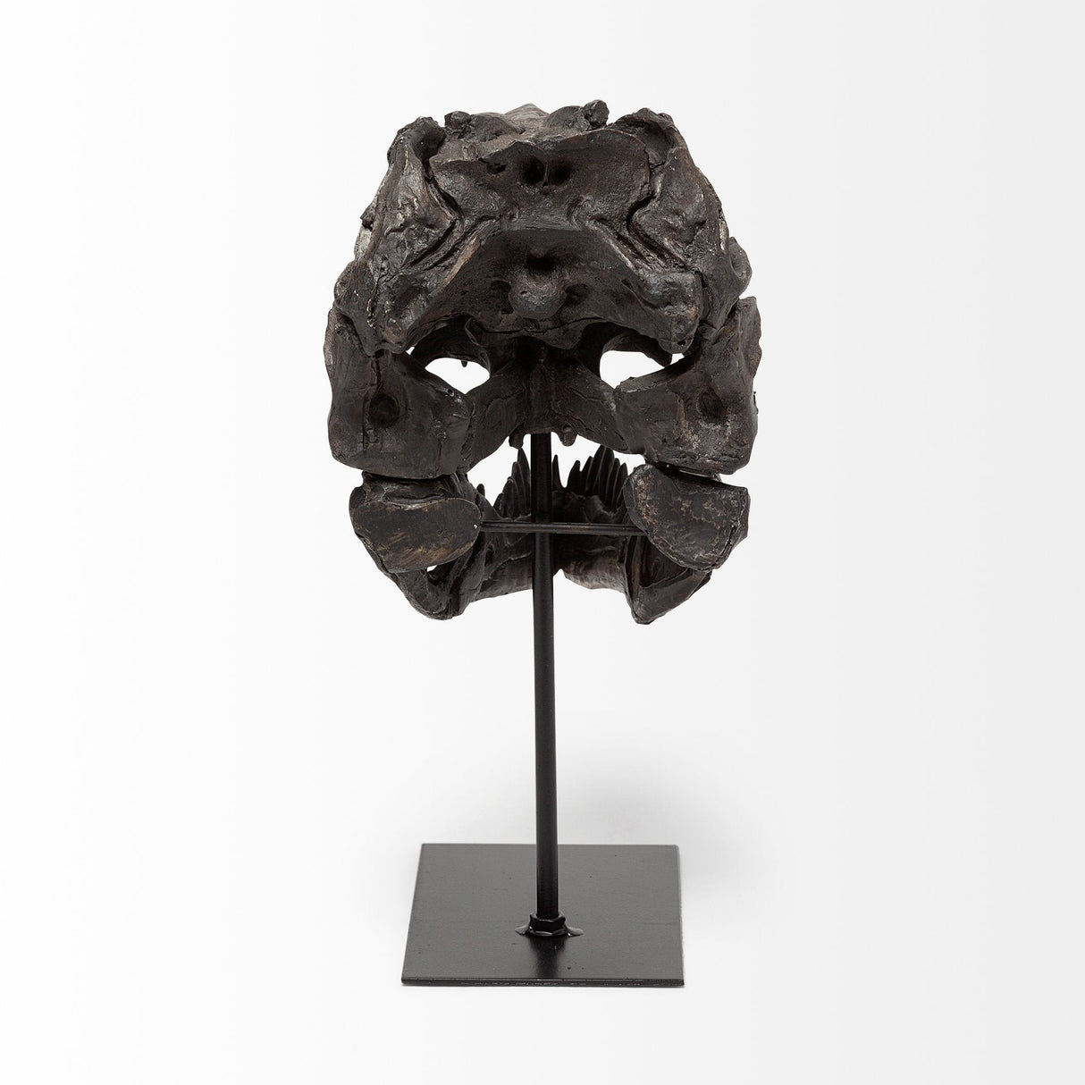 Jurassic 6L x 10W Brown Resin Tyrannosaurus Skull Replica by Mercana at Eve Furniture