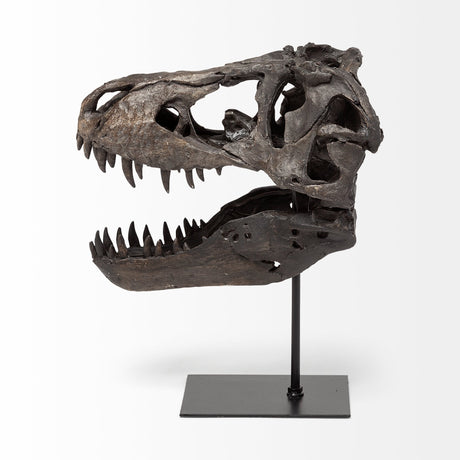 Jurassic Brown Resin Tyrannosaurus Skull Replica by Mercana at Eve Furniture
