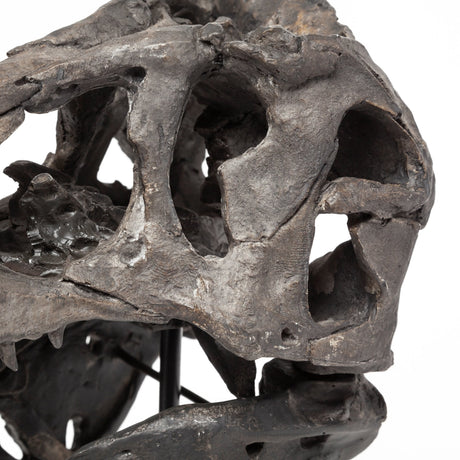 Jurassic Brown Resin Tyrannosaurus Skull Replica by Mercana at Eve Furniture