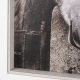 Just Let Me Scratch by Arabella Studios a Hand Embellished Textured Framed Photo Art Print by Mercana at Eve Furniture