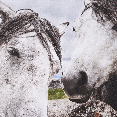 Just Let Me Scratch by Arabella Studios a Hand Embellished Textured Framed Photo Art Print by Mercana at Eve Furniture