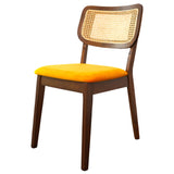 Kaden Orange Velvet Dining Chair (Set Of 2) by Ashcroft Imports at Eve Furniture