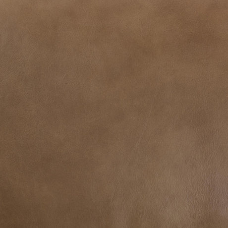Kadon Reclining Sofa - Tan by Classic Home at Eve Furniture