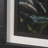 Kauai Jungle Dream by Stefan and Audrey Textured Framed Photo Print Matted under Glass by Mercana at Eve Furniture