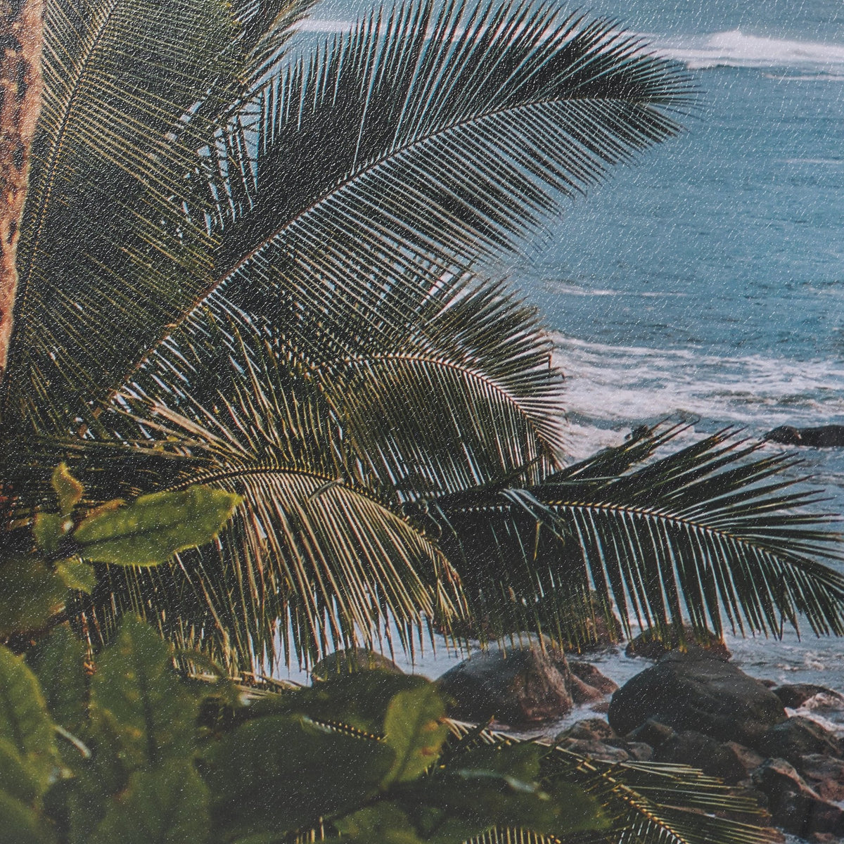 Kauai Jungle Dream by Stefan and Audrey Textured Framed Photo Print Matted under Glass by Mercana at Eve Furniture