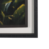 Kauai Jungle Dream by Stefan and Audrey Textured Framed Photo Print Matted under Glass by Mercana at Eve Furniture