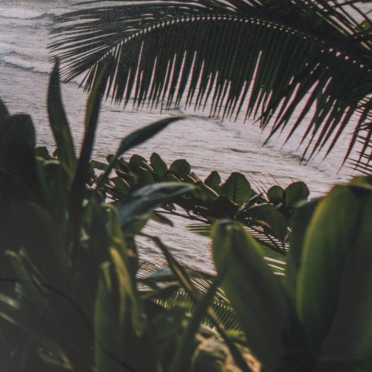 Kauai Jungle Dream by Stefan and Audrey Textured Framed Photo Print Matted under Glass by Mercana at Eve Furniture