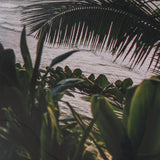 Kauai Jungle Dream by Stefan and Audrey Textured Framed Photo Print Matted under Glass by Mercana at Eve Furniture