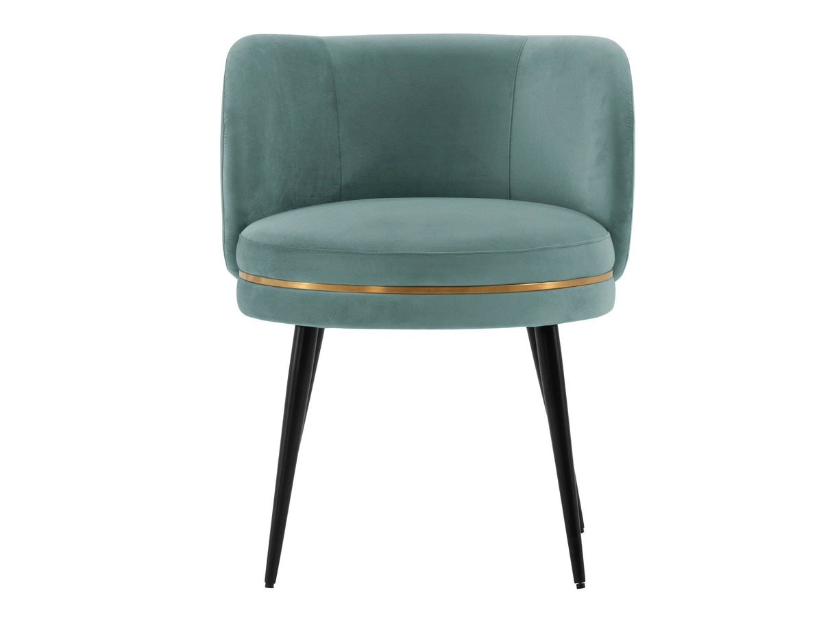 Kaya Dining Chair in Mint Green by Manhattan Comfort at Eve Furniture