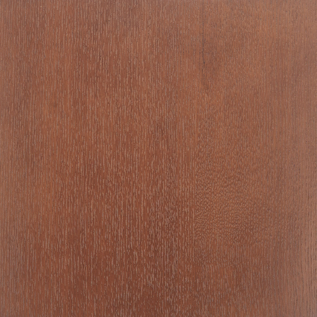 Kellua Beige & Walnut Dining Chair (Set of 2) by Zuomod at Eve Furniture