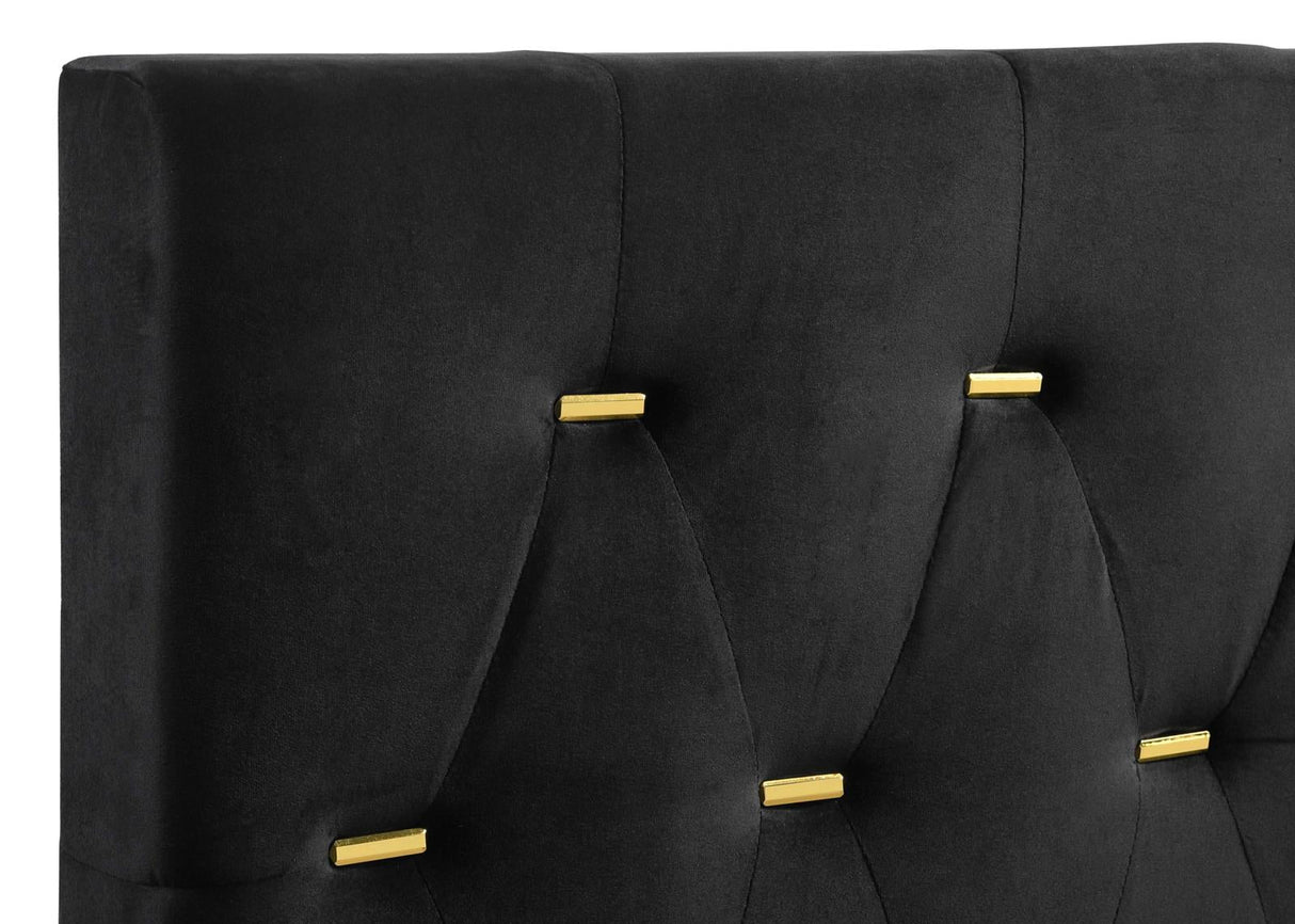 Kendall Black/Gold 4-Piece Tufted Panel Queen Bedroom Set