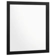 Kendall Black Square Dresser Mirror by Coaster at Eve Furniture