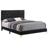 Kendall Black/Gold Tufted Panel Queen Bed by Coaster at Eve Furniture