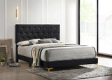 Kendall Black/Gold Tufted Panel Queen Bed by Coaster at Eve Furniture
