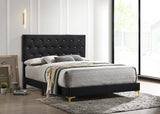 Kendall Tufted Panel Eastern King Bed Black/Gold