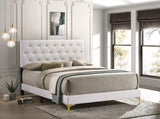 Kendall Tufted Upholstered Panel California King Bed White by Coaster at Eve Furniture