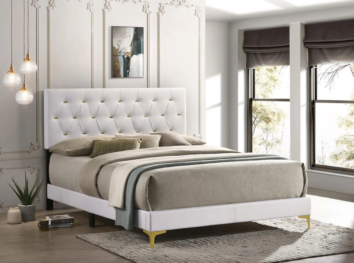 Kendall White Tufted Upholstered Panel Eastern King Bed by Coaster at Eve Furniture